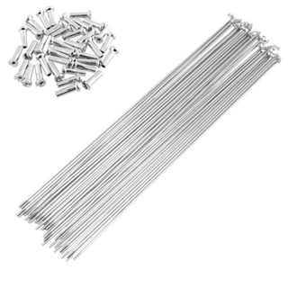 Căm xe đạp inox - 2ly x72 cây.không hít