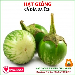 Hạt Giống Cà Dãi Da Ếch Trang Nông - 1gram