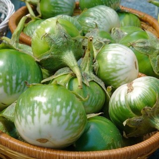 Hạt Giống Cà Dãi Da Ếch Trang Nông - 1gram
