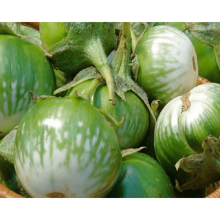 Hạt Giống Cà Dãi Da Ếch Trang Nông - 1gram