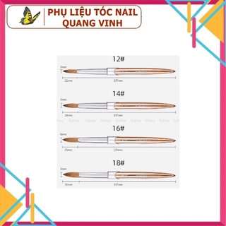 Cọ đắp bột cán vàng Kolinsky 12 14 16 18 (99k 1 cây)