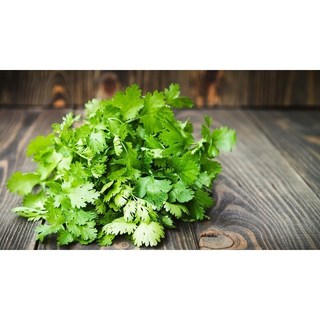 Combo Các Loại Hạt Giống Gia Vị (Hành Lá, Ngò Rí, Thì Là, Ngò Gai)