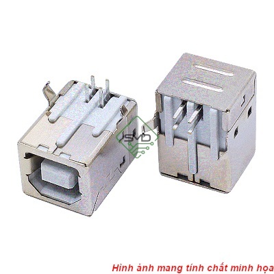Cổng USB Cái 2.0 Type B 4 Chân Cong Dip