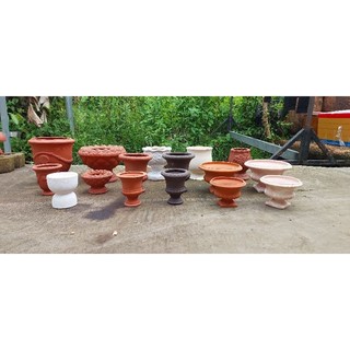 Chậu đất nung - chậu ly cúp đủ mẫu 
