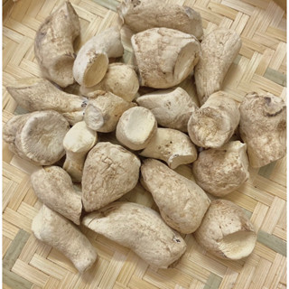 Chân Nấm Hương Khô Loại 1 Size Đại (Loại To Nhất, Thơm, Trắng) Làm Ruốc, Chà Bông Nấm, Kho Tiêu- HÚT CHÂN KHÔNG