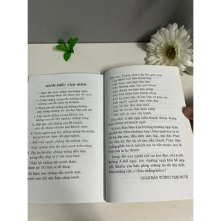 Sách - Cành Lá Vô Ưu (HT. Thích Thanh Từ)