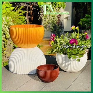 (3 MÀU+5 SIZE) Chậu trồng cây GÂN SỌC TRÒN,Chậu cây nhựa đẹp,Chậu để bàn trồng hoa cây cảnh