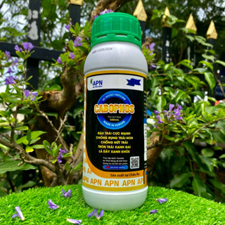  Phân Bón CABOPHOS chai 500ml CANXI BO LÂN PHOSPHITE lưu dẫn 2 chiều  của An Phát Nông 