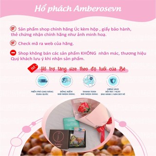 Vòng tay  Amber ÚC cho bé 0 - 3 tuổi - Vòng Hô phách Úc M4MOL