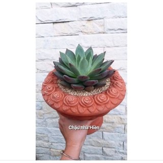 Chậu đất nung - chậu ly cúp hoa hồng miệng 21, cao 16 (miệng trồng cây 13)
