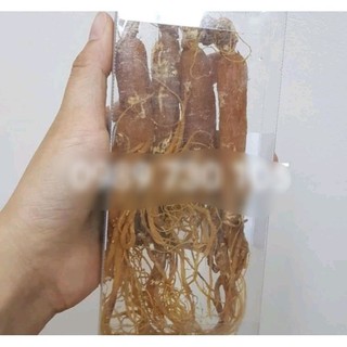 HỒNG SÂM KHÔ 100G sâm đủ size thơm ngon
