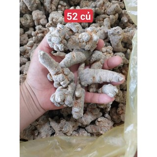 củ tam thất size 52củ , 66 củ 1kg