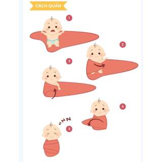 Chũn cộc Cocoon HaChun