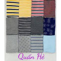 Chũn cộc Cocoon HaChun