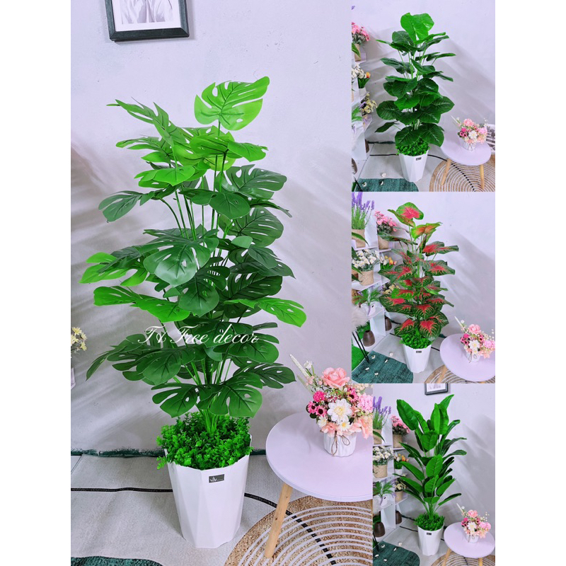 Cây giả decor, để Cây trầu bà la xe. Cây nhân tạohoa trang trí cây chuối,Mẫu cây 1m3