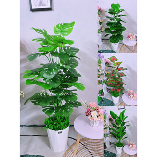 Cây giả decor, Cây trầu bà la xe. Cây nhân tạohoa trang trí  cây chuối,Mẫu cây 1m3