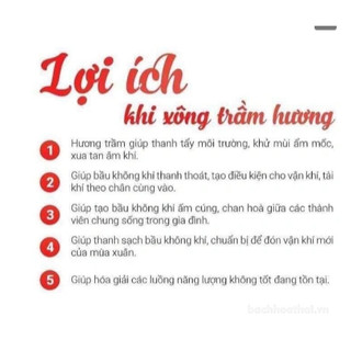 [hàng chính hãng]Nhang thơm Aroma Incense (giao màu ngẫu nhiên)
