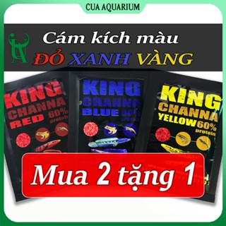 Thức ăn cám kích màu cho cá lóc KING CHANNA (Vẩy Rồng, Nữ Hoàng, Vây Xanh,...)