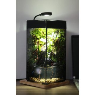 Bể hiệu ứng mưa rơi rainforest