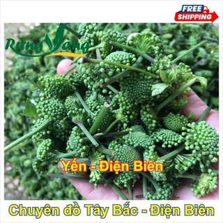 Nụ tam thất bao tử 500g