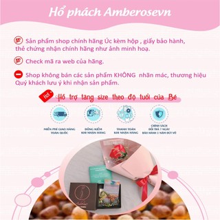 Vòng tay Amber Baltic ho phách cho Mẹ mẫu Classic