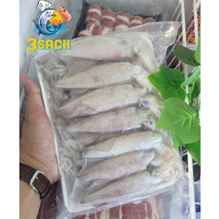 1KG Mực Trứng Phan Thiết 3 Sạch size 15/20