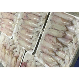 1KG Mực Trứng Phan Thiết 3 Sạch size 15/20