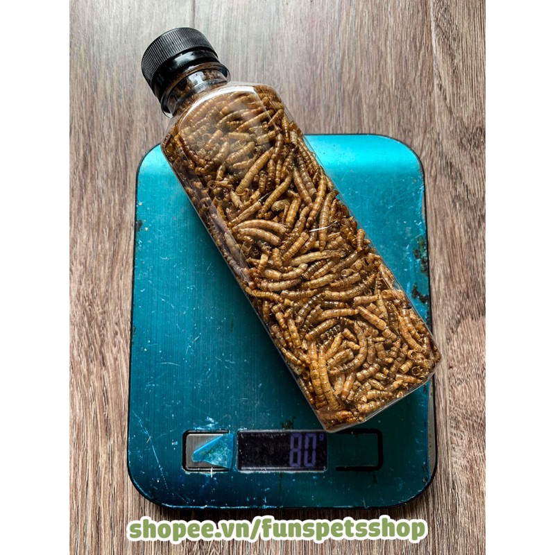 Sâu gạo rang cực thơm cho hamster