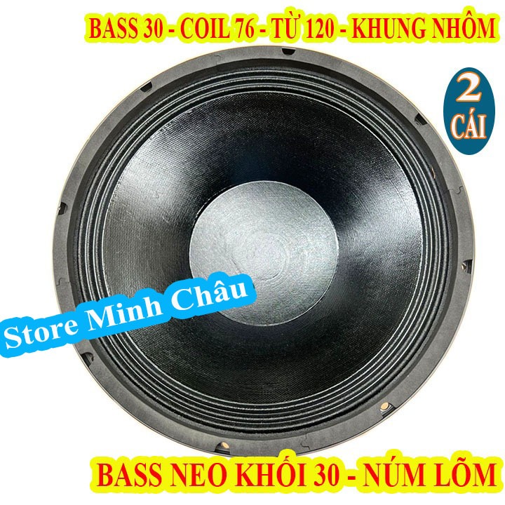 CẶP CỦ LOA BASS 30 PEGASUS NÚM LÕM TỪ NEO KHỐI COIL 76 TỪ 120 NHẬP KHẨU - GIÁ 2 LOA