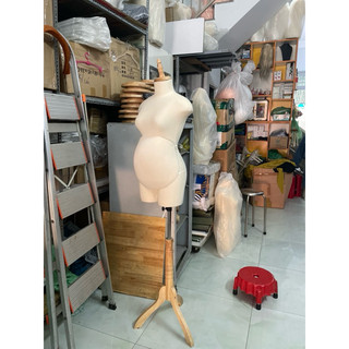 Manocanh bầu chân gỗ (hình thật)