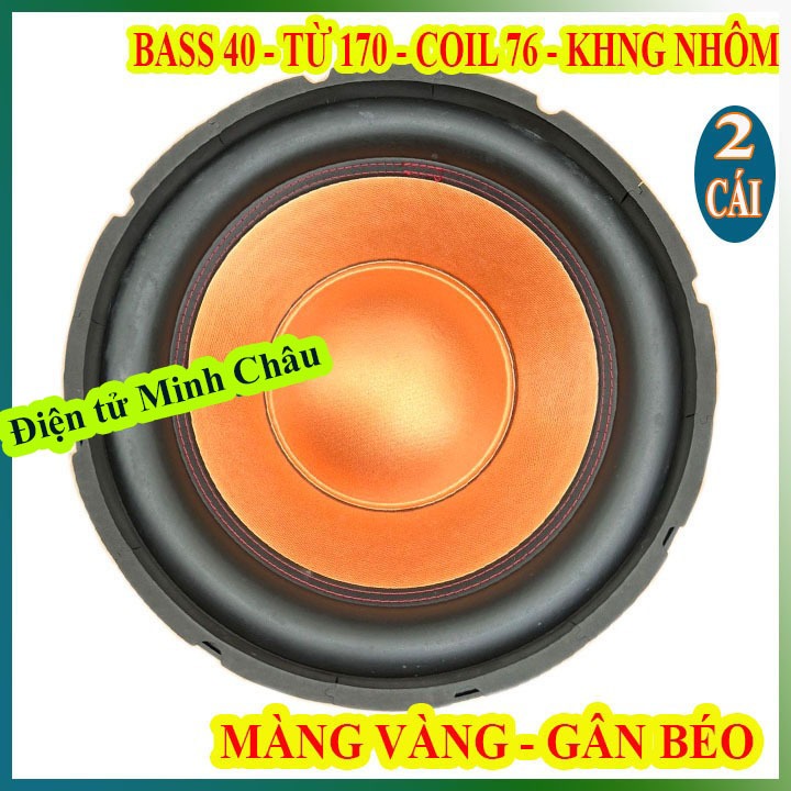 CẶP LOA BASS SUB 40 MARTIN TỪ 170 COIL 76 MÀNG CAM CAO CẤP - GIÁ 2 LOA