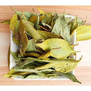 [Hàng công ty] - Chè lá dung sấy khô - Hỗ trợ thanh nhiệt và giải độc