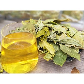 [Hàng công ty] - Chè lá dung sấy khô - Hỗ trợ thanh nhiệt và giải độc