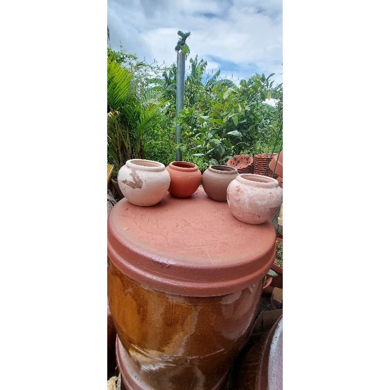 Chậu đất nung - chậu chum mini miệng 5, cao 6.5