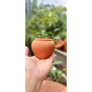 Chậu đất nung - chậu chum mini miệng 5, cao 6.5