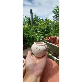 Chậu đất nung - chậu chum mini miệng 5, cao 6.5