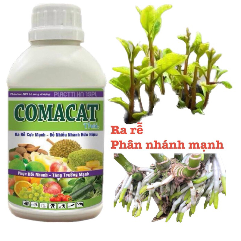Phân Bón Comacat Thái Chai 500ml,Kích Thích Sinh Trưởng,Bật Rễ Mạnh,Phục Hồi Cây,Dùng Phun Lá Và Tướ