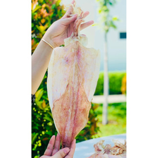 [ĐỦ SIZE BAO NGỌT] Mực Khô Câu Đặc Sản Nha Trang Loại Ngon Dày Mình