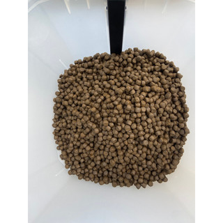 Cám cá Koi Aquamaster Growth( Cám tăng trưởng) cám hạt nổi, không đục nước, túi 10kg