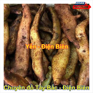 Củ Tắc Kè Đá Khô - Thảo Dược Tự Nhiên