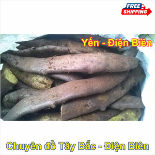 Củ Tắc Kè Đá Khô - Thảo Dược Tự Nhiên