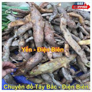 Củ Tắc Kè Đá Khô - Thảo Dược Tự Nhiên