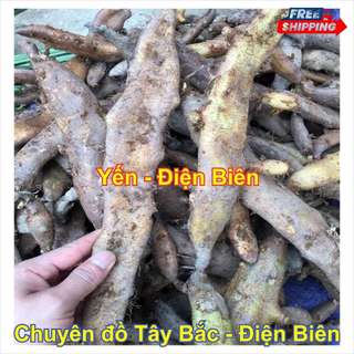 Củ Tắc Kè Đá Khô - Thảo Dược Tự Nhiên
