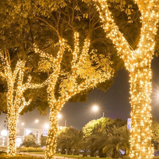 Đèn Led Dây Trang Trí 50M 100M 20M ⚡Chống Nước⚡ Đèn Nháy Trang Trí cây thông Noel, Quán Cà Phê, Cuốn Cây Ngoài trời