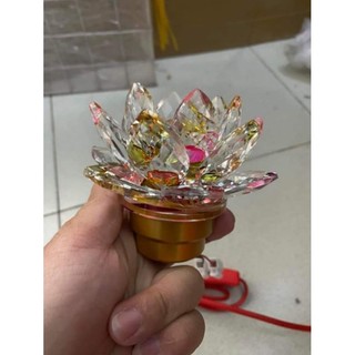 Đèn Sen Pha Lê Gắn Chân Đồng Size Số 0 - 7Màu ( Giá 1 Cái ) ✨