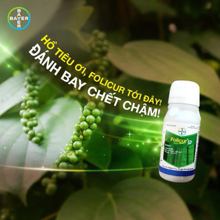 Phòng ngừa nấm bệnh Folicur 430SC DẠNG SỮA (CHAI 250ML) chính hãng bayer