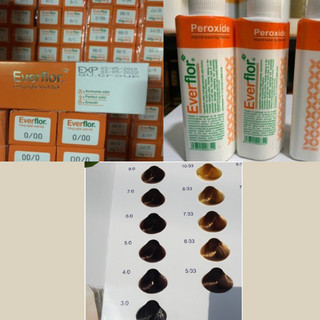 Thuốc Nhuộm Tóc Everflo Bảng 1