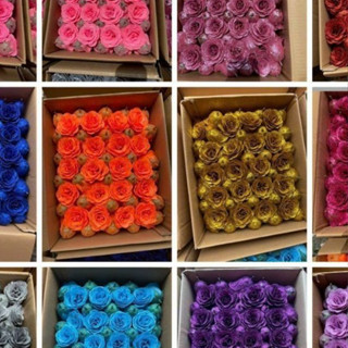 [SIÊU RẺ GIÁ SỈ] Hoa Nhũ Kim Tuyến Loại 1 Chuẩn 8cm Đủ Màu