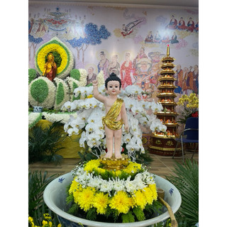 Tượng Phật Đản Sanh 56cm
