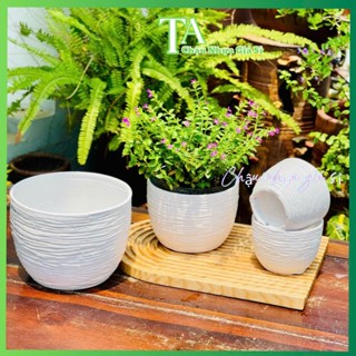 Chậu nhựa trồng cây, Chậu cây mini, Chậu giả sứ Sóng tròn nhỏ để bàn dày,đẹp